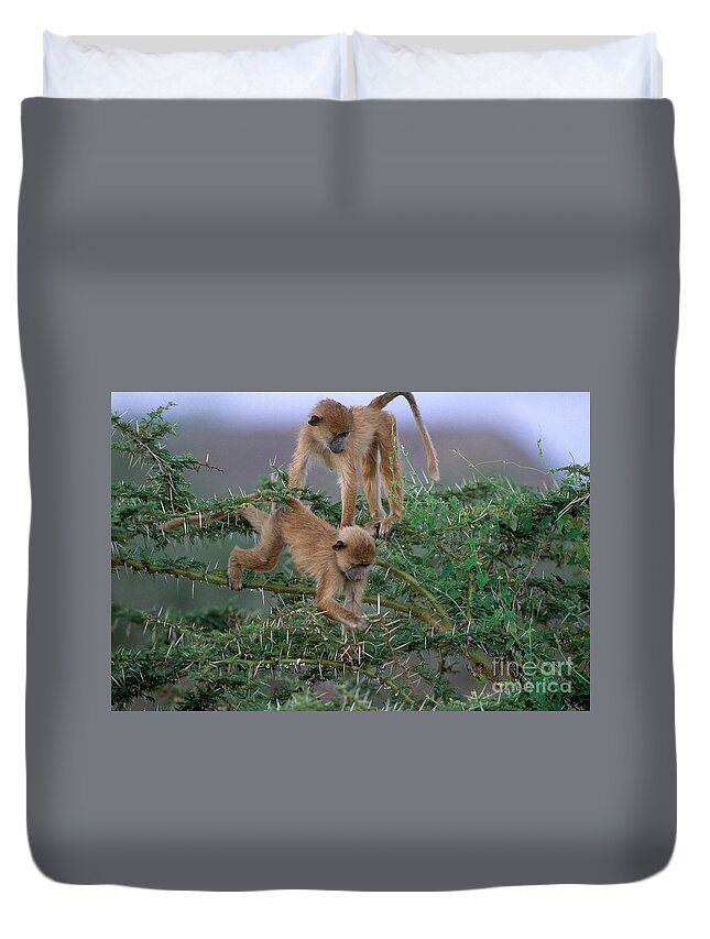 Olive Baboon Duvet Cover featuring the photograph Olive Baboon #5 by Art Wolfe