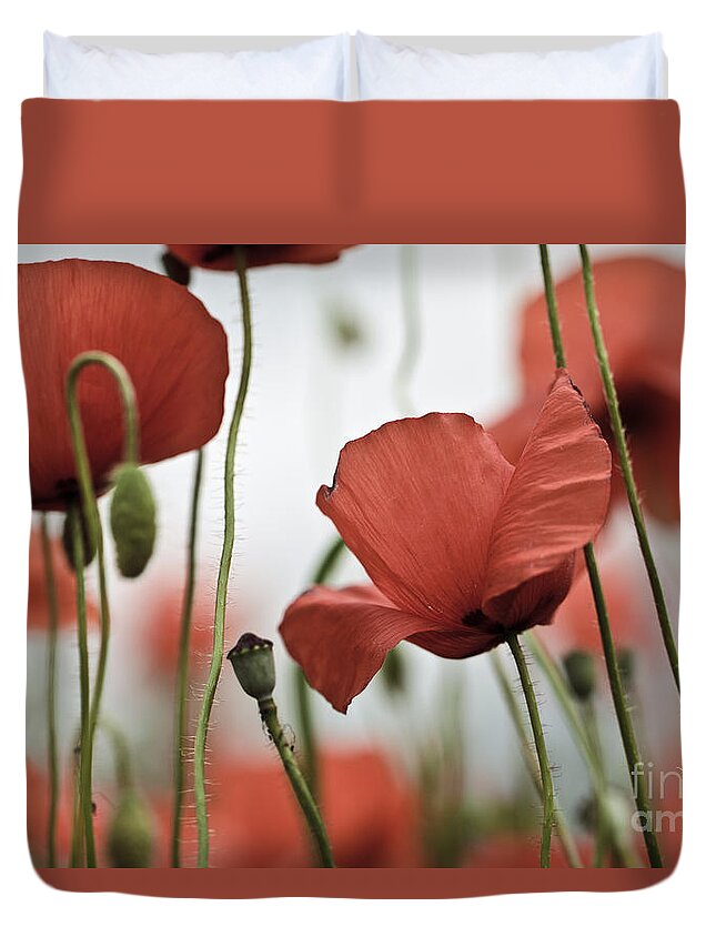 Poppy Duvet Cover featuring the photograph Red Poppy Flowers #5 by Nailia Schwarz