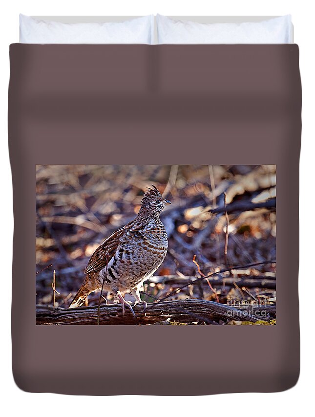 Bedford Duvet Cover featuring the photograph Ruffed Grouse by Ronald Lutz