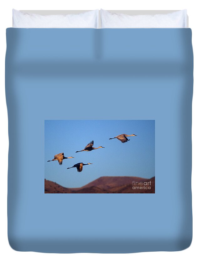 Birds Duvet Cover featuring the photograph Sandhill cranes #5 by Steven Ralser