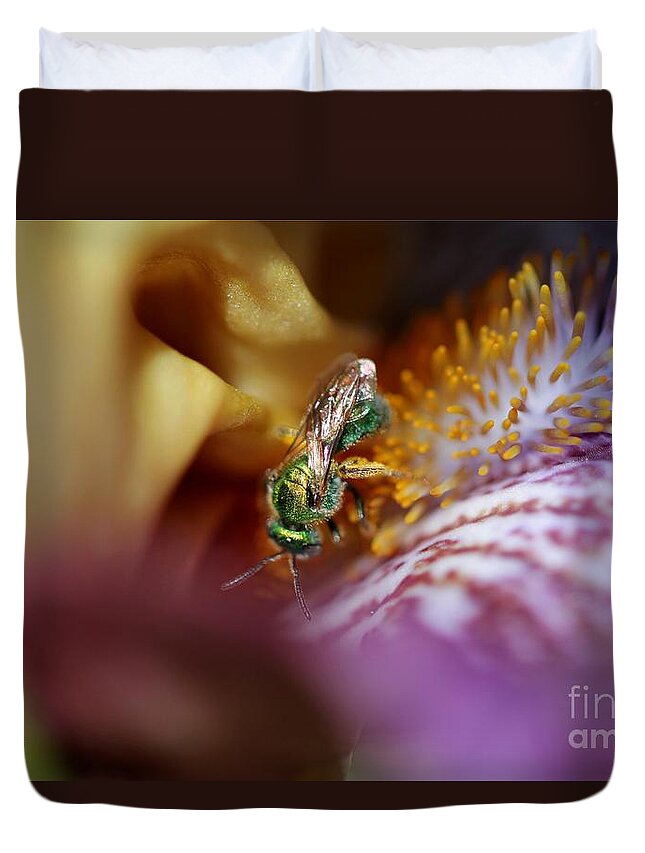 Mccombie Duvet Cover featuring the photograph Tall Bearded Iris named Final Episode #1 by J McCombie