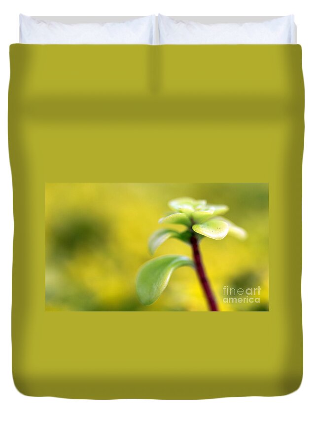 Sedum Duvet Cover featuring the photograph Yellow Sedum #5 by Henrik Lehnerer