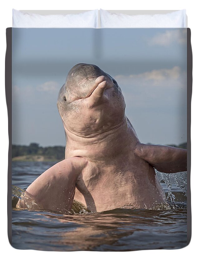 Amazon River Dolphin Duvet Cover featuring the photograph Amazon River Dolphin #6 by M. Watson