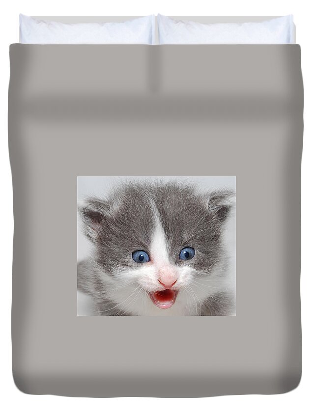 Photograph Duvet Cover featuring the photograph Kitten #6 by Larah McElroy