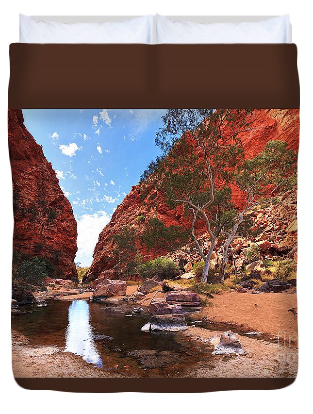 Simpsons Gap Central Australia Landscape Outback Water Hole West Mcdonnell Ranges Northern Territory Australian Landscapes Ghost Gum Trees Duvet Cover featuring the photograph Simpsons Gap #8 by Bill Robinson