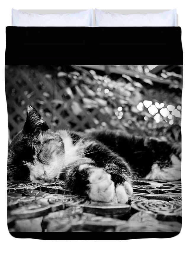 6 Toe Cat Duvet Cover featuring the photograph 6 Toe Cat at Hemingway House by John McGraw