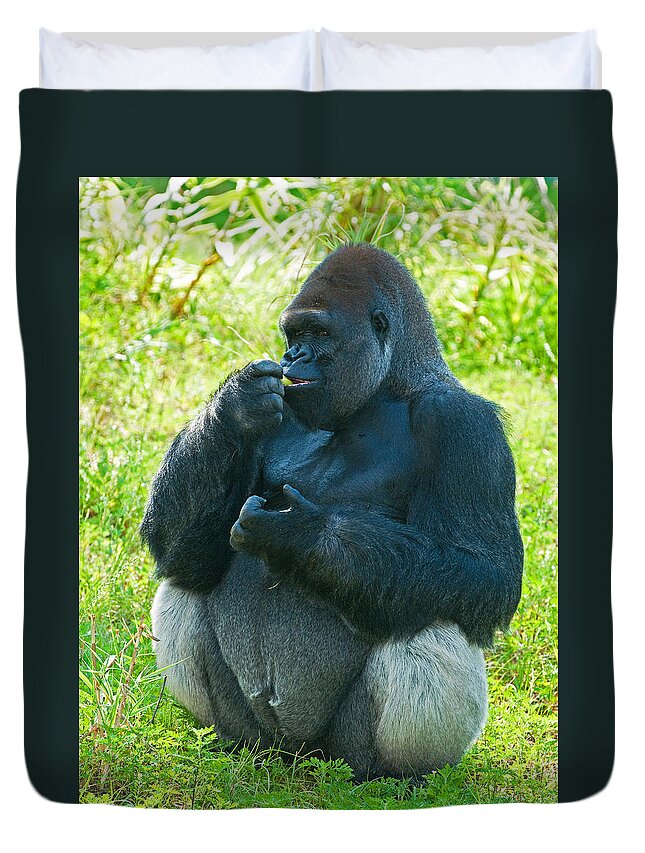 Nature Duvet Cover featuring the photograph Western Lowland Gorilla #64 by Millard H. Sharp