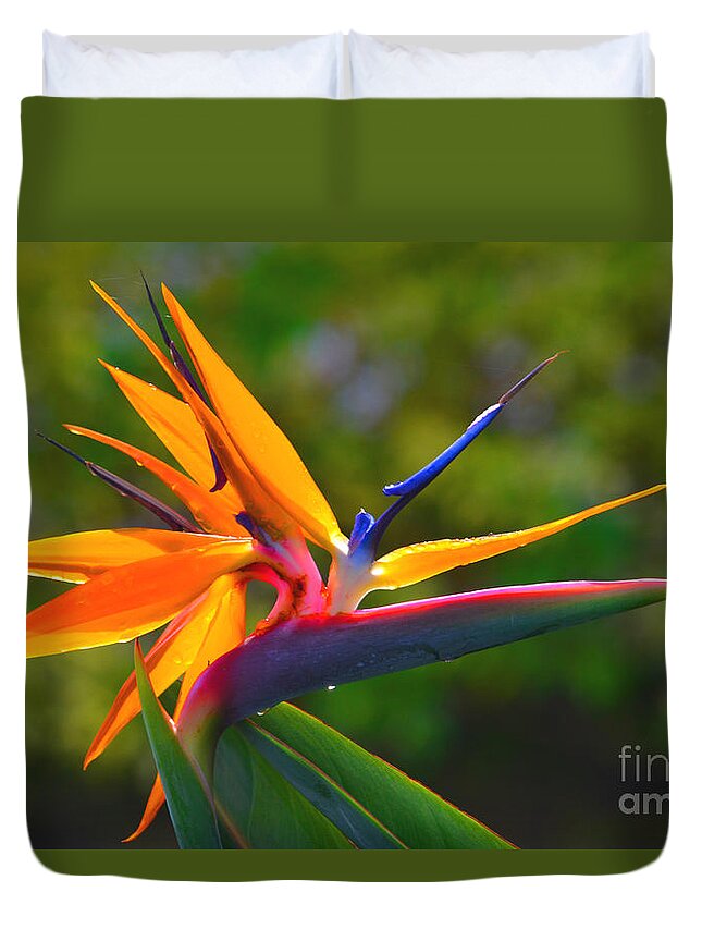 Bird Of Paradise Duvet Cover featuring the photograph 7- Bird of Paradise by Joseph Keane