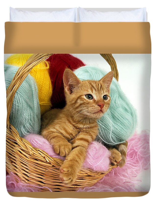 Animal Duvet Cover featuring the photograph Europeen Roux Tabby #7 by Gerard Lacz