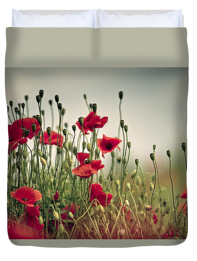Poppy Duvet Cover featuring the photograph Poppy Meadow #7 by Nailia Schwarz