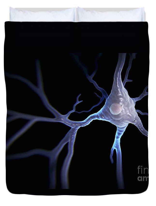 Anatomical Model Duvet Cover featuring the photograph Pyramidal Neuron #7 by Science Picture Co