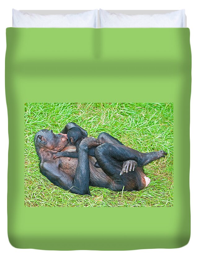 Nature Duvet Cover featuring the photograph Bonobo Mother And Baby #78 by Millard H. Sharp