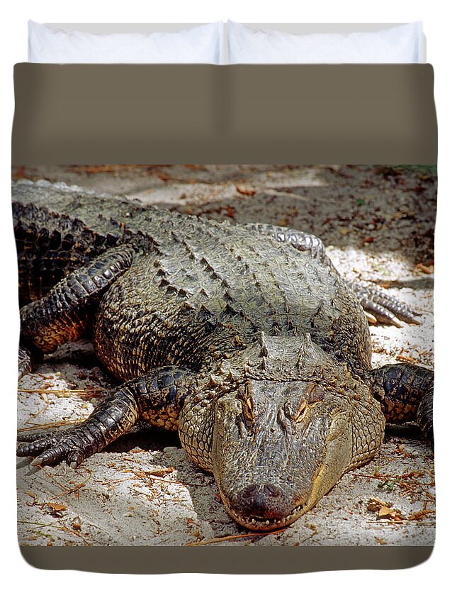 Animal Duvet Cover featuring the photograph American Alligator Alligator #8 by Millard H. Sharp