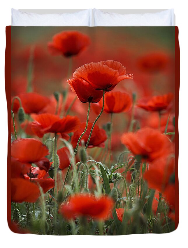 Poppy Duvet Cover featuring the photograph Red #8 by Nailia Schwarz