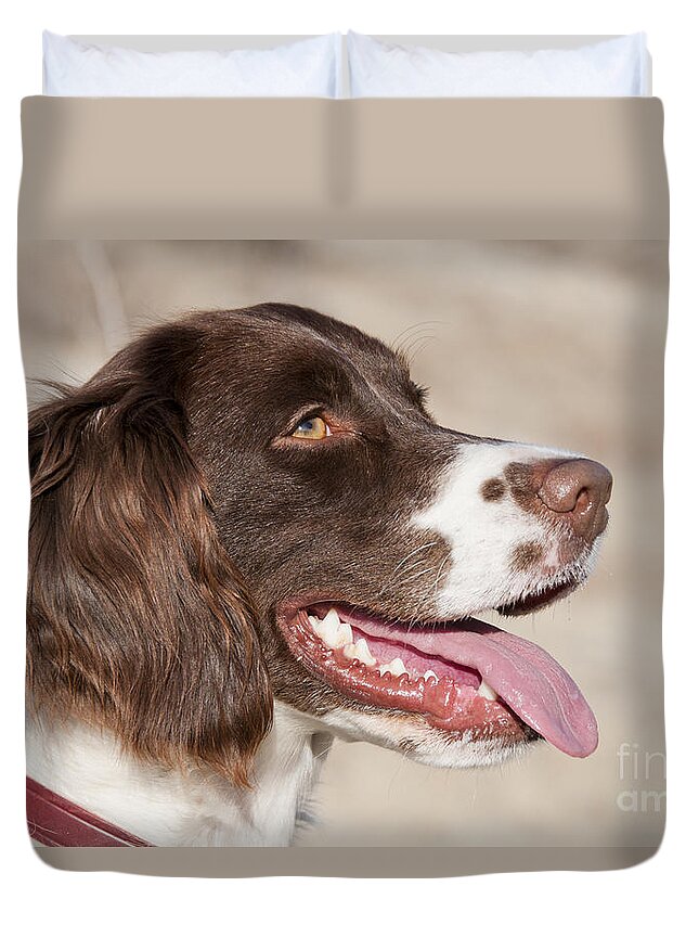 Nature Duvet Cover featuring the photograph Springer Spaniel #8 by William H. Mullins