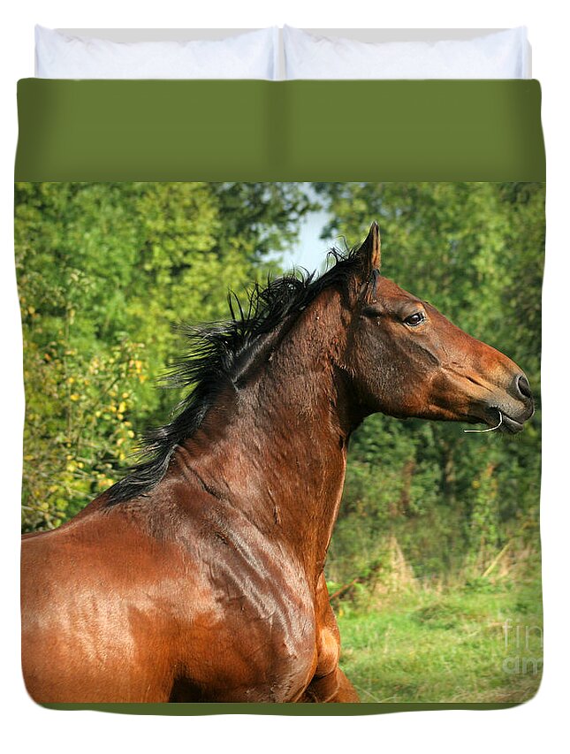 Horse Duvet Cover featuring the photograph The Bay Horse #8 by Ang El