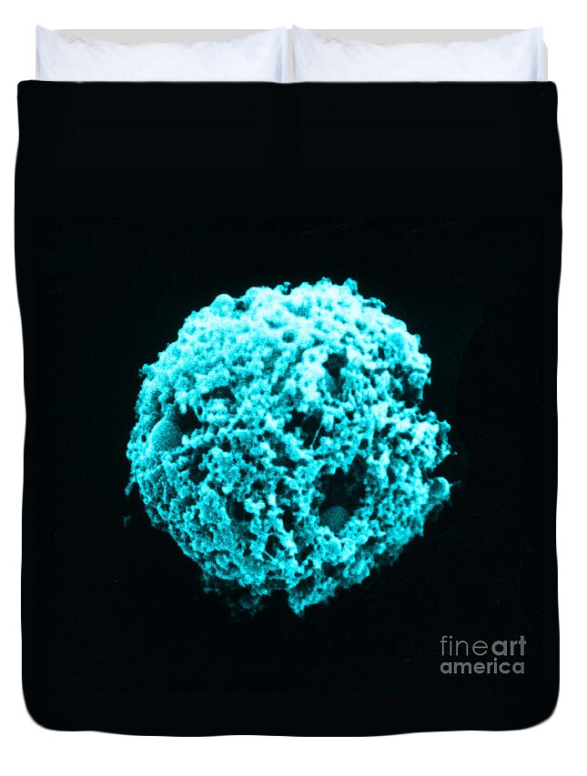 White Blood Cell Duvet Cover featuring the photograph Lymphocytes Undergoing Apoptosis, Sem #9 by David M. Phillips