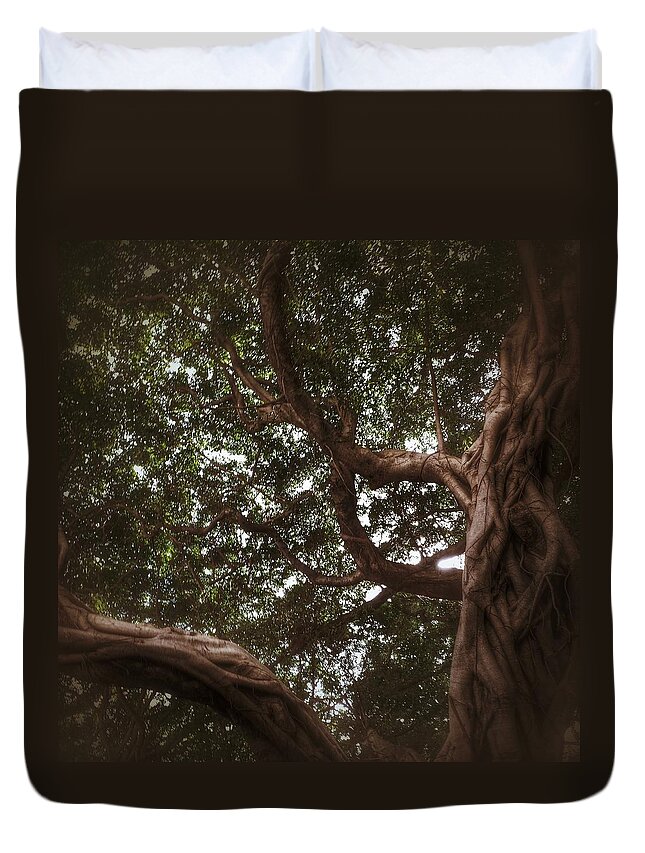Tranquility Duvet Cover featuring the photograph A Banyan Tree by Joshua Guan