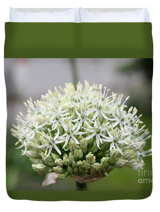 Allium Duvet Cover featuring the photograph A Beautiful Beginning by Christiane Schulze Art And Photography