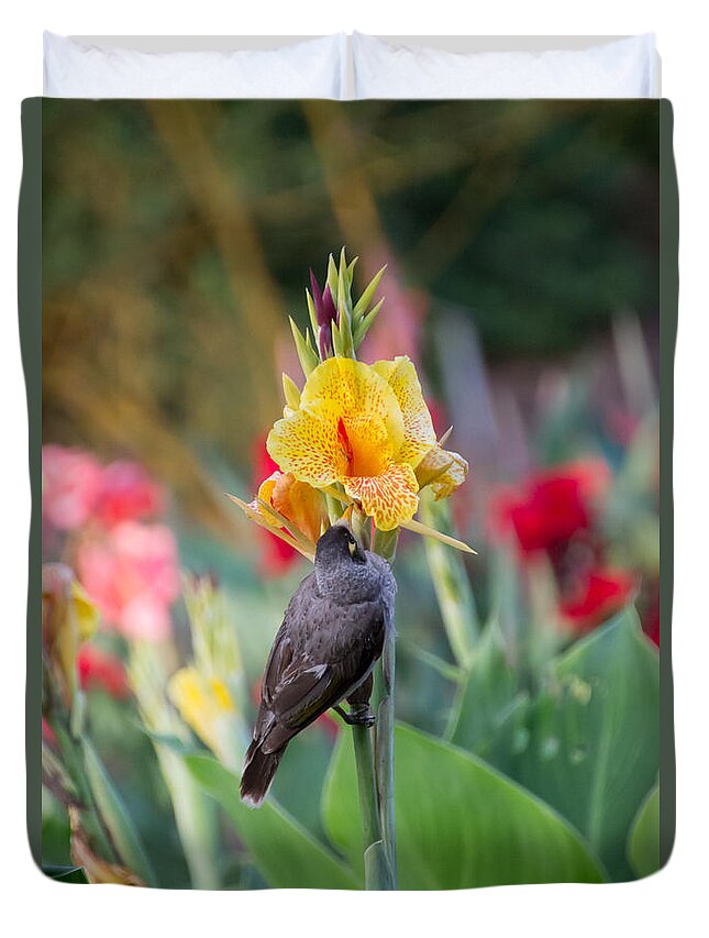 Australia Duvet Cover featuring the photograph A bird on iris by Agnes Caruso