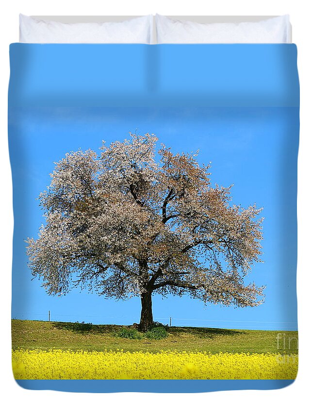  Agriculture Duvet Cover featuring the photograph A blooming lone Tree in Spring with canolas in front 2 by Amanda Mohler