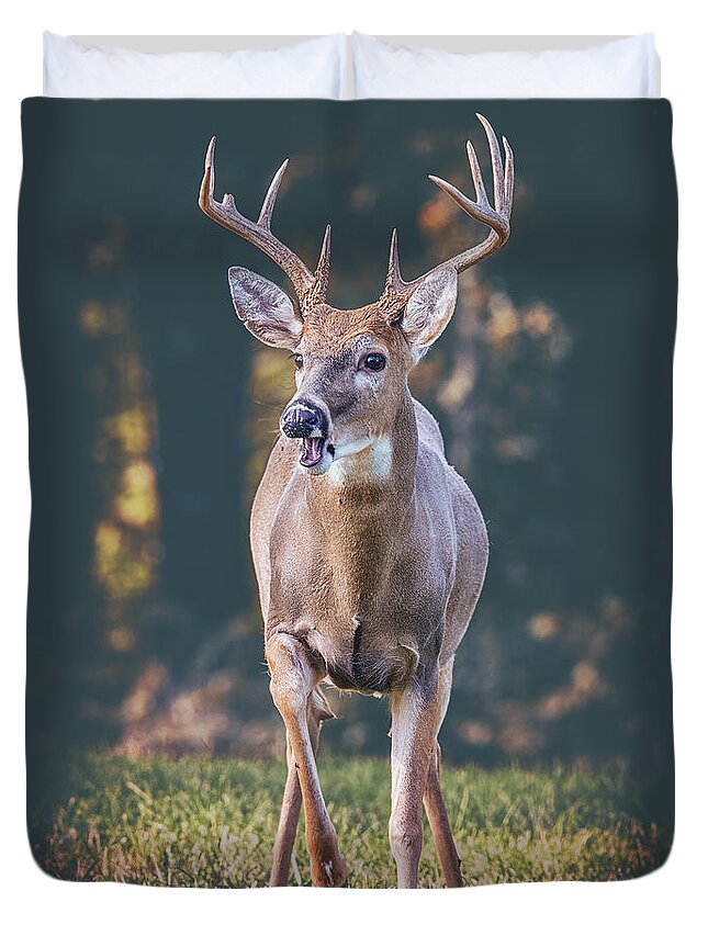 Buck Duvet Cover featuring the photograph A Buck From The Shadows by Bill and Linda Tiepelman