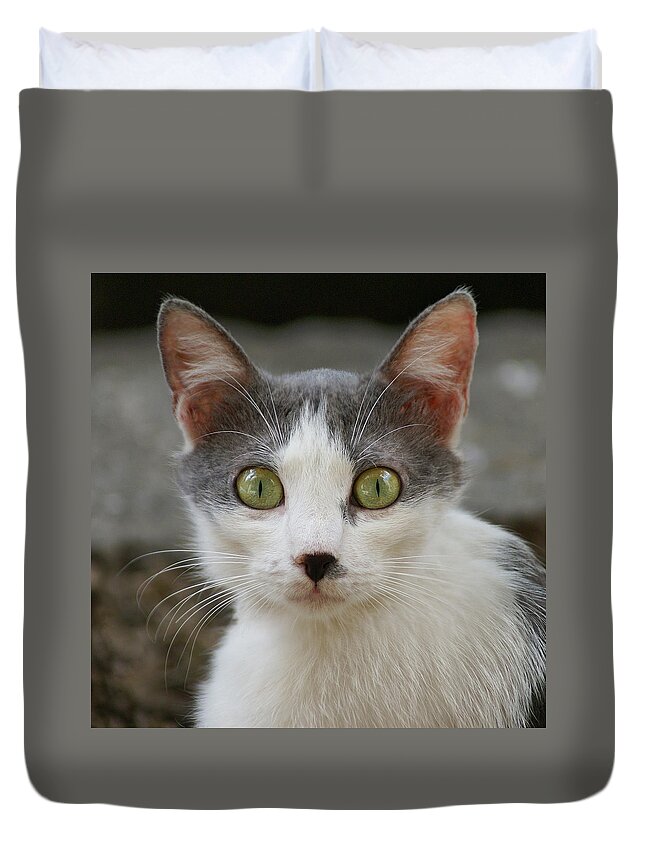 Pets Duvet Cover featuring the photograph A Cat by Dragan Todorovic