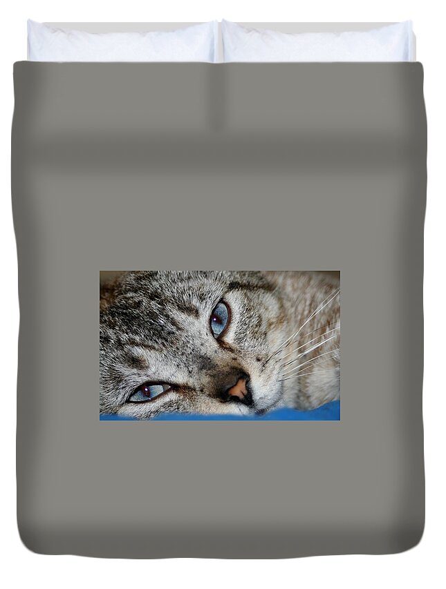 Cat Duvet Cover featuring the photograph A Cat Named...Blue by Barbara S Nickerson