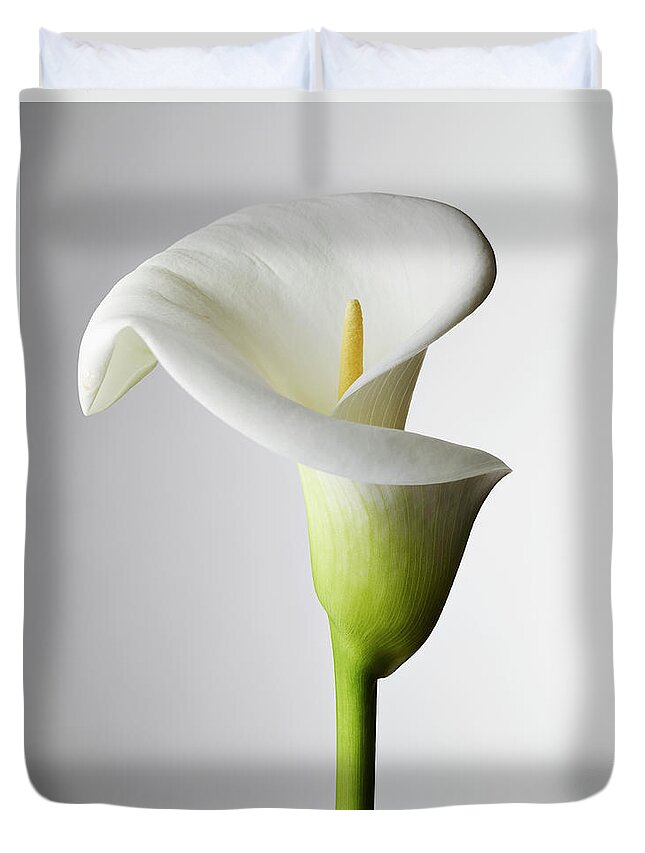 Elegance Duvet Cover featuring the photograph A Close-up Of A Calla Lily, Stamen by Larry Washburn