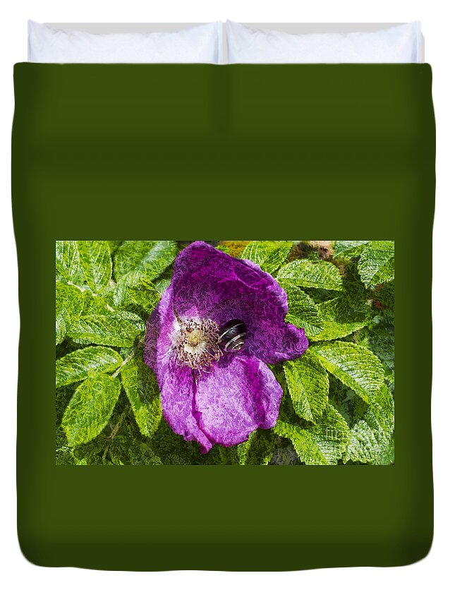 Dog Rose Duvet Cover featuring the photograph A Comfortable Home Textured by Steve Purnell