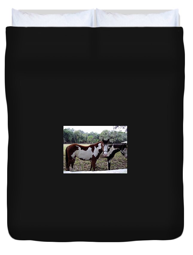 Horse Duvet Cover featuring the photograph A Couple of Paints by D Hackett