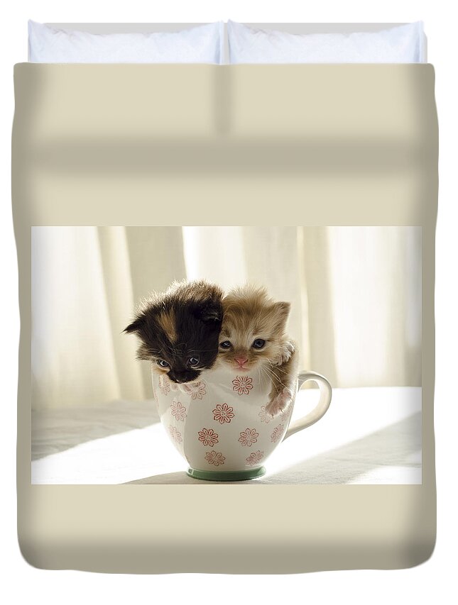Cute Duvet Cover featuring the photograph A cup of cuteness by Spikey Mouse Photography