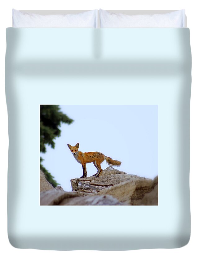Fox Duvet Cover featuring the photograph A Fox On The Rocks by Kay Novy