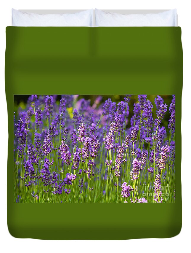 Lavender Duvet Cover featuring the photograph A friendly summer day by Juergen Klust