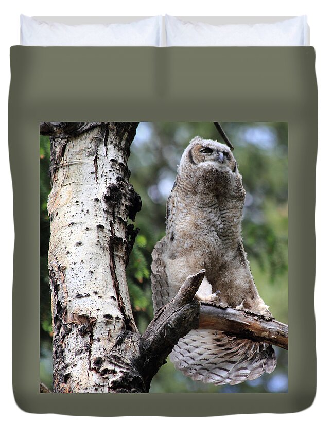 Great Horned Owl Duvet Cover featuring the photograph A good stretch by Shane Bechler