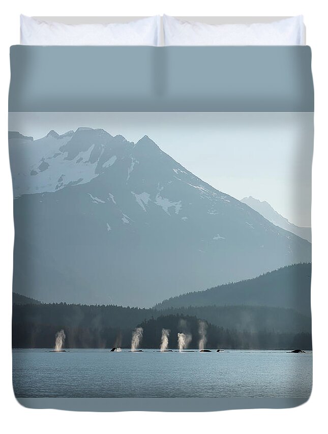 Extreme Terrain Duvet Cover featuring the photograph A Group Of Humpback Whales Fill Their by John Hyde / Design Pics