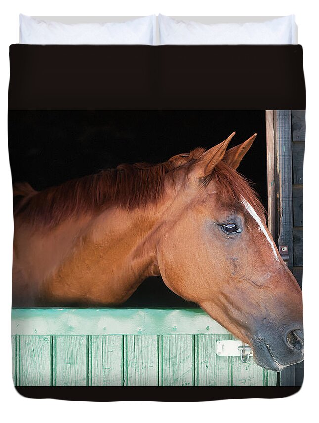 Horse Duvet Cover featuring the photograph A Horse Peeks His Head Out Of His Stall by Ben Welsh / Design Pics