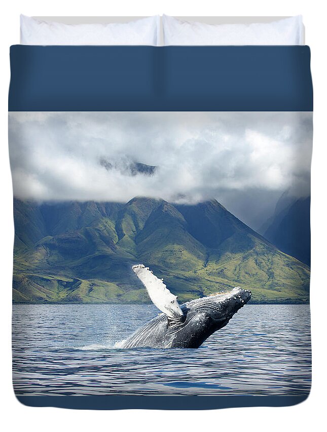 Animals In The Wild Duvet Cover featuring the photograph A Humpback Whale Megaptera by Dave Fleetham