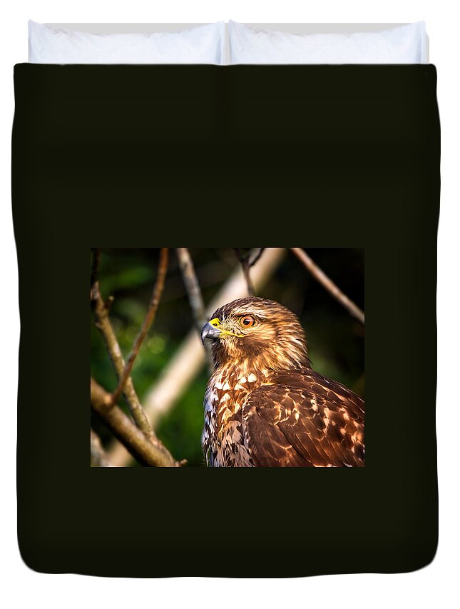 Red Shouldered Hawk Duvet Cover featuring the photograph Hawk Eye by Mark Andrew Thomas