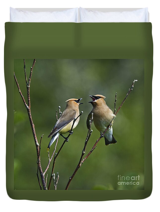 Festblues Duvet Cover featuring the photograph A Love Duet... by Nina Stavlund