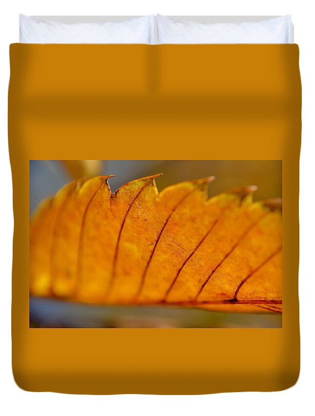 Leaf Duvet Cover featuring the photograph A Memory of the Heart by Melanie Moraga