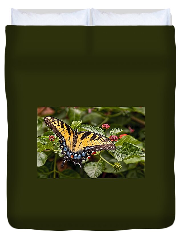 Animal Duvet Cover featuring the photograph A Moments Rest by Penny Lisowski
