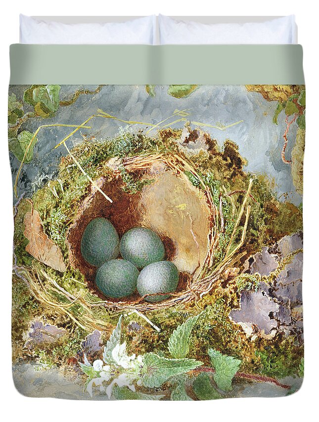 Birds Duvet Cover featuring the painting A Nest Of Eggs, 1871 by Jabez Bligh