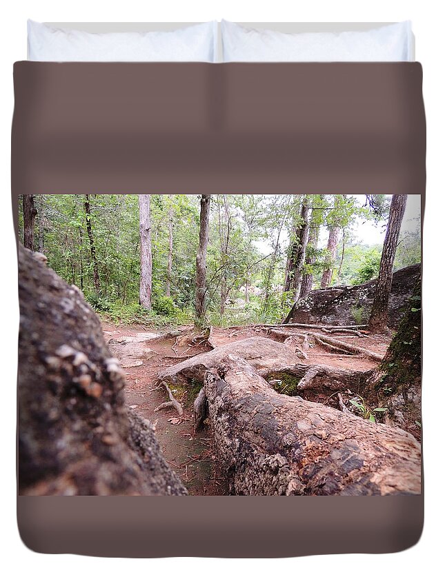 Georgia Duvet Cover featuring the photograph A new view from the woods by Aaron Martens
