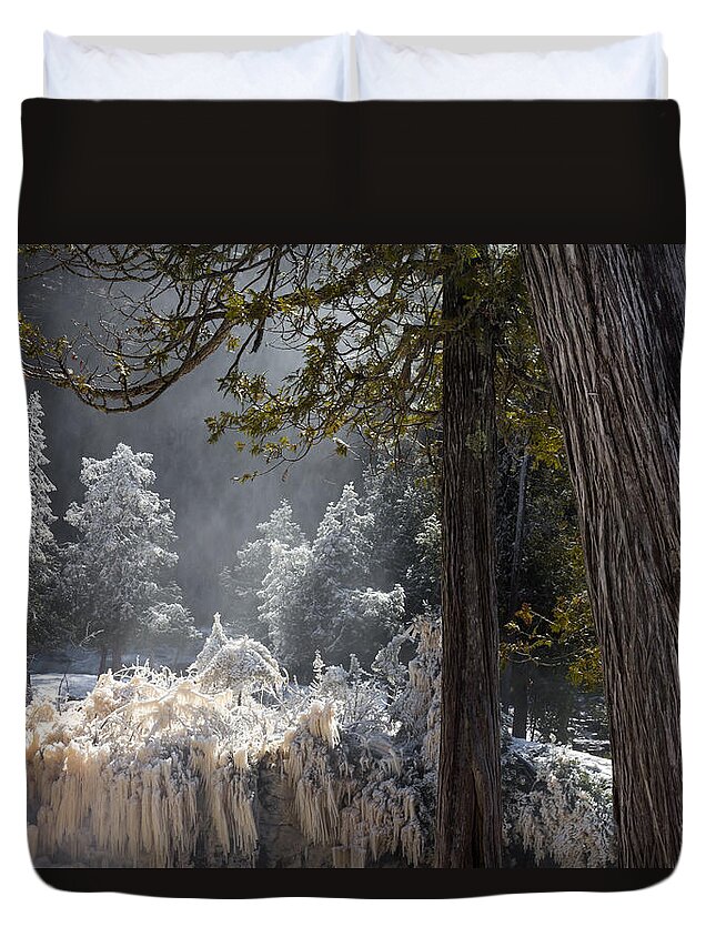 north Shore lake Superior spring Melt gooseberry River gooseberry Falls river Spray ice Out spring fairy Tale absolutely Amazing april In Northern Minnesota duluth minnesota nature river water white Pine greeting Cards mary Amerman Duvet Cover featuring the photograph A North Woods Fairy Tale by Mary Amerman