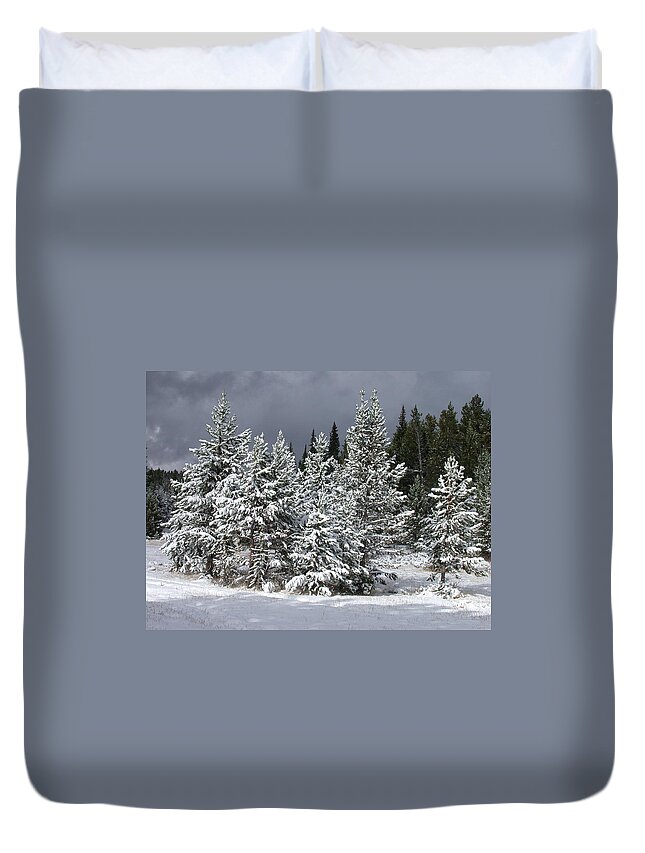 Sun Duvet Cover featuring the photograph A Patch Of Sun by Shane Bechler