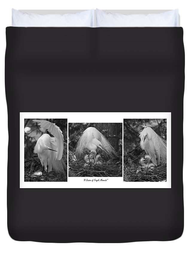Photograph Duvet Cover featuring the photograph A Season of Fragile Moments by Suzanne Gaff