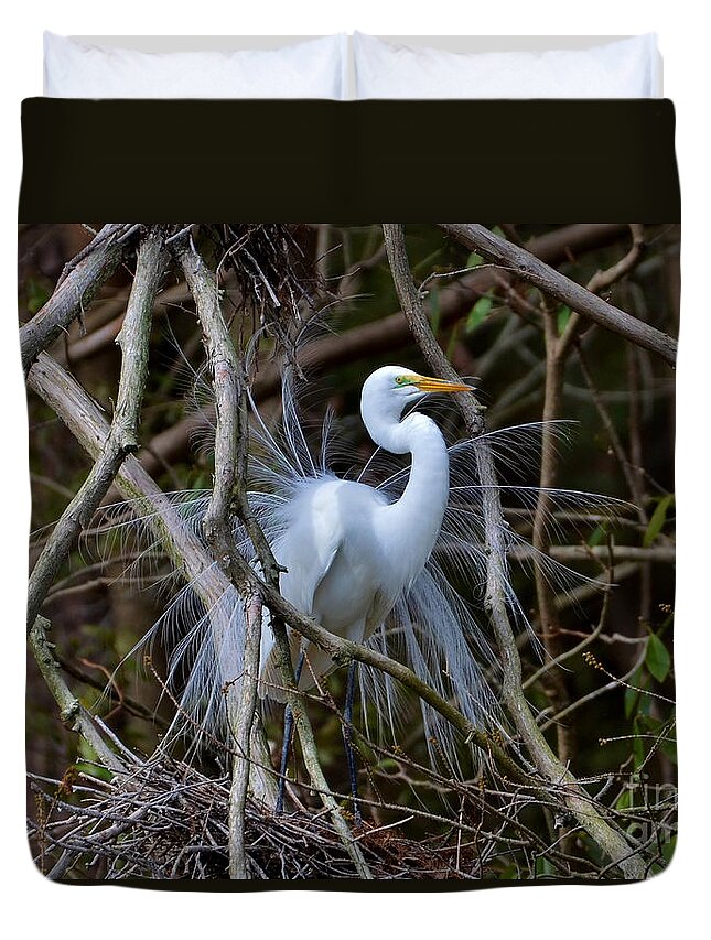 Birds Duvet Cover featuring the photograph A Season Of Love by Kathy Baccari