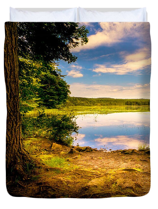 Landscape Duvet Cover featuring the photograph A Secret Place by Bob Orsillo