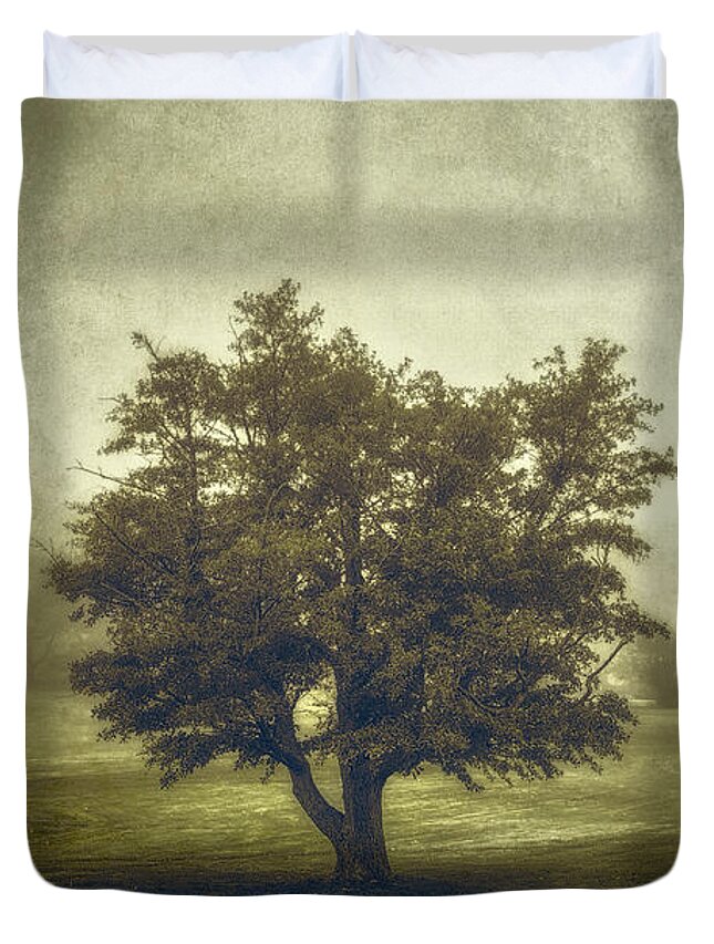 Tree Duvet Cover featuring the photograph A Tree in the Fog 2 by Scott Norris